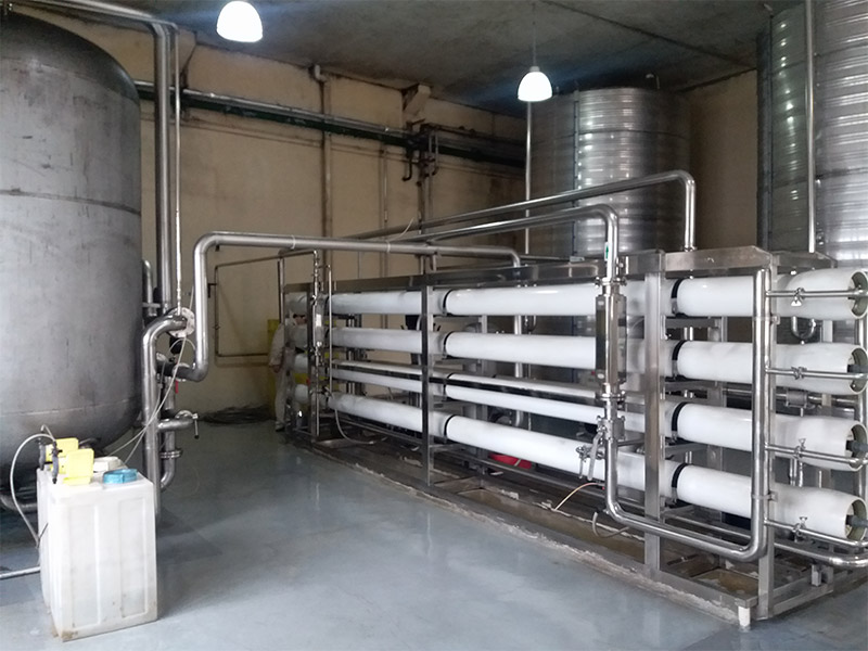 廣東(dong)某某酒廠30m3ph純水係統