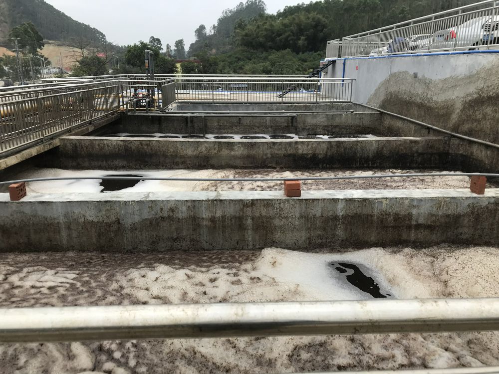 某某屠宰場項目(mu)——500t屠宰廢水處理係統