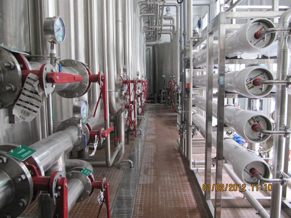 飲(yin)料廠20m3ph純水係統